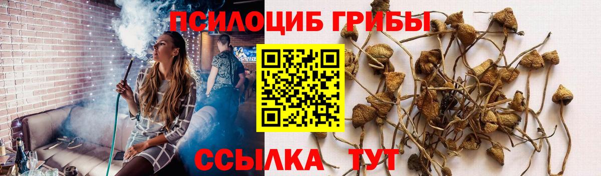 Псилоцибиновые грибы мицелий Мариинск